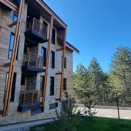 Lux Tarski San * 바레