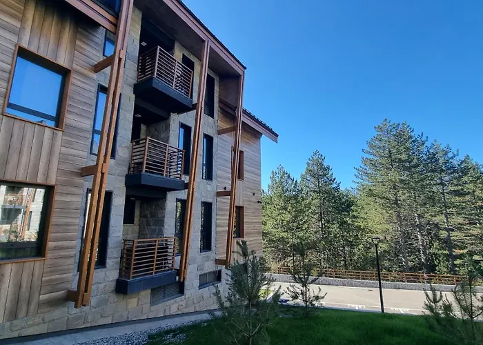 Lux Tarski San * 바레